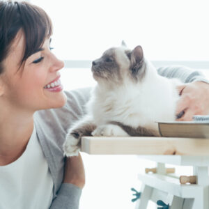 Introduction to Feline Care Certification