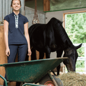 Horse Care and Stable Management Certification