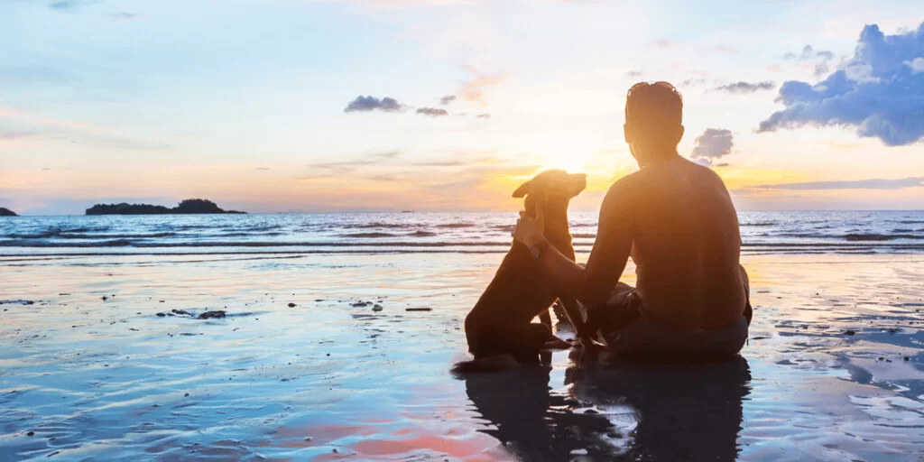 Learn to Communicate with Animals and Nature Certificate