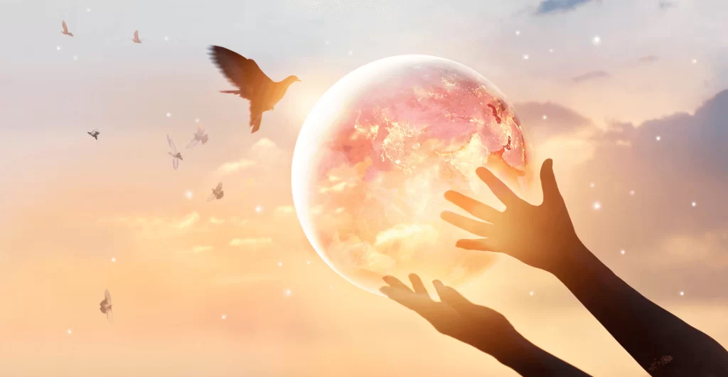 Spirituality Coach Certificate