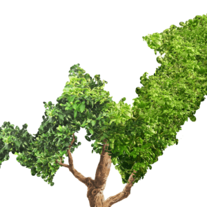 Sustainable Business Certification