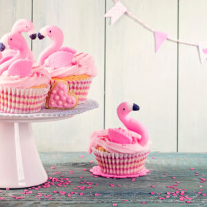 Cupcake Decorating - Animal Pack