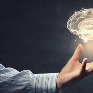 Neuroplasticity: Rewire Your Brain for Success Certification