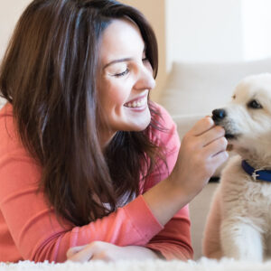 Pet Psychology Diploma