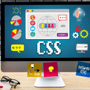 CSS Certification Level 1