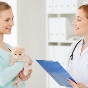 Veterinary Support Assistant Certification